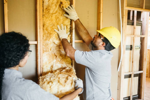 Best Radiant Barrier Insulation  in Junction City, CA